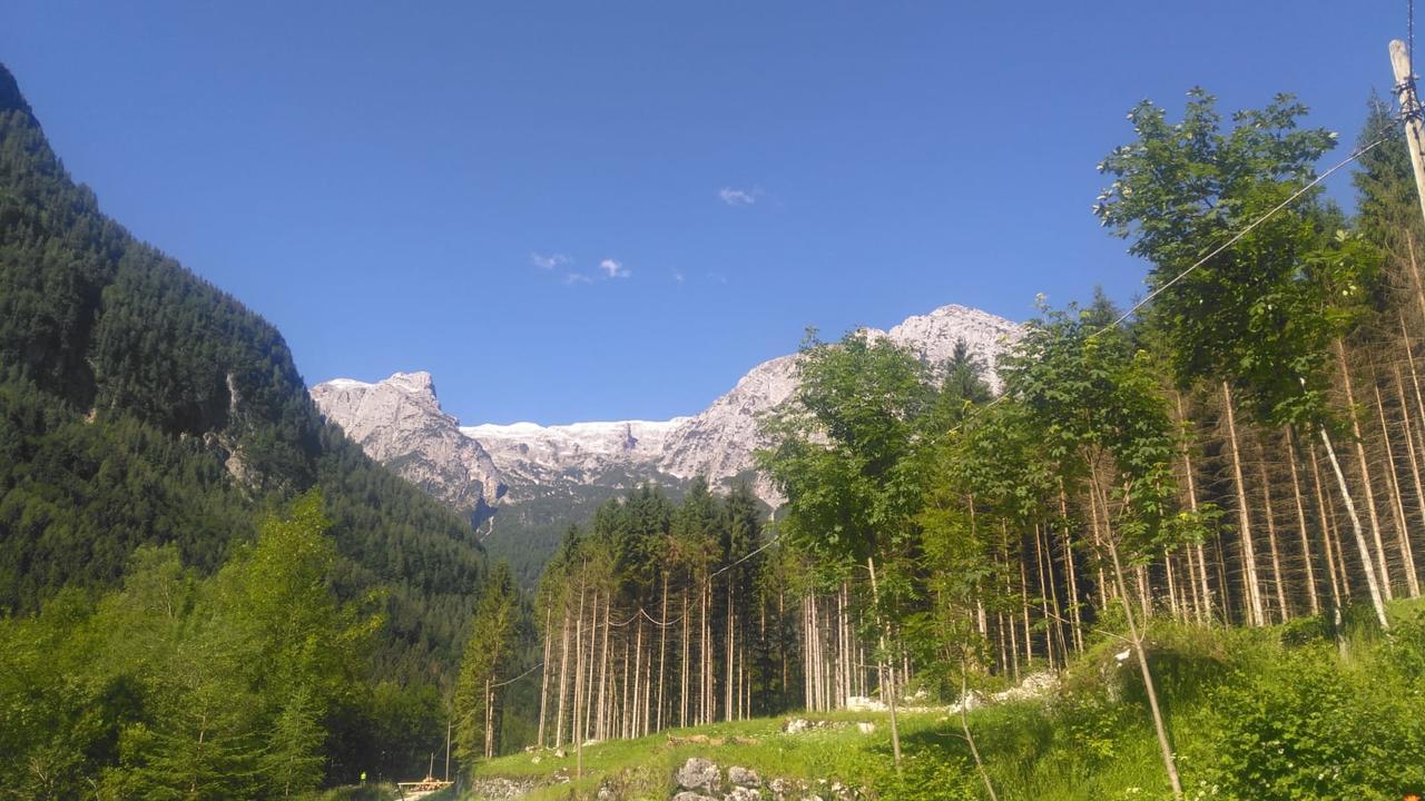 Camere Nordest Sudest- Conca Agordina Agordo Bagian luar foto