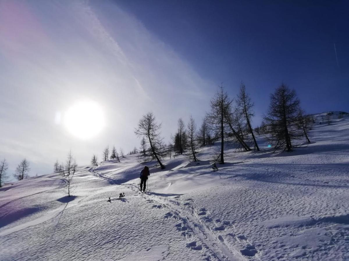 Camere Nordest Sudest- Conca Agordina Agordo Bagian luar foto